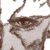 :iconallyc4t22:
