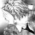 :iconalmaith21: