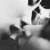 :iconalmaph:
