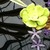 :iconalmightykeylocket: