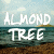 :iconalmond-tree: