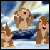 :iconalmondcake: