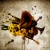 :iconalmostmonkey: