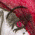 :iconalnette-s: