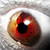:iconAlnews: