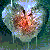 :iconalog-06: