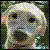 :iconalonalyx: