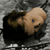 :iconalonewithyou: