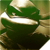:iconalonia187: