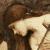 :iconalorelei: