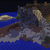 :iconalostsoulwarrior: