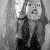 :iconalouetteg: