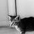 :iconaloveautopsy: