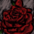 :iconaloverj: