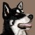:iconalpabu: