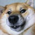 :iconalpacapeep: