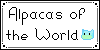 :iconalpacas-of-the-world: