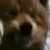 :iconalpha-female-spirit: