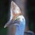 :iconalpha168: