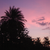 :iconalpha718b: