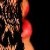 :iconalphabee-me: