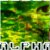 :iconalphagurl01: