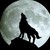 :iconalphawolf978: