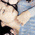 :iconalphaxaudio:
