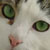 alphie0216 :iconalphie0216: