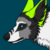 :iconalpinefever: