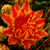 Alptraum125 :iconalptraum125: