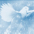 :iconalqool7e:
