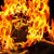:iconalqorn99: