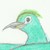 :iconalsaticeternitybird: