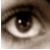 :iconalshadow: