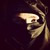 :iconalstudioworks: