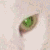 :iconalswamprat: