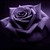 :iconaltarnia: