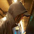 Alter-Knight :iconalter-knight: