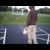 :iconalternatending90: