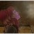 :iconaltheaquin: