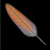 :iconaltheavanef:
