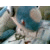 :iconaltomarelatios: