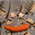 :iconaltonwiththebchs: