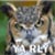 altyarlyplz :iconaltyarlyplz:
