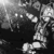 :iconalucad12: