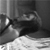 :iconalura-stock: