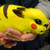 :iconalurafireheart: