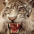 :iconalw-dasilva: