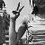 :iconalwayslove008: